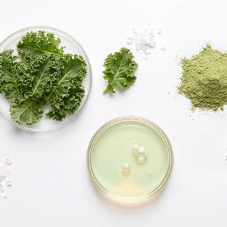Kale Extract